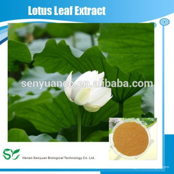 Kräuterextrakt Lotus Blatt Extrakt für Verlustgewicht